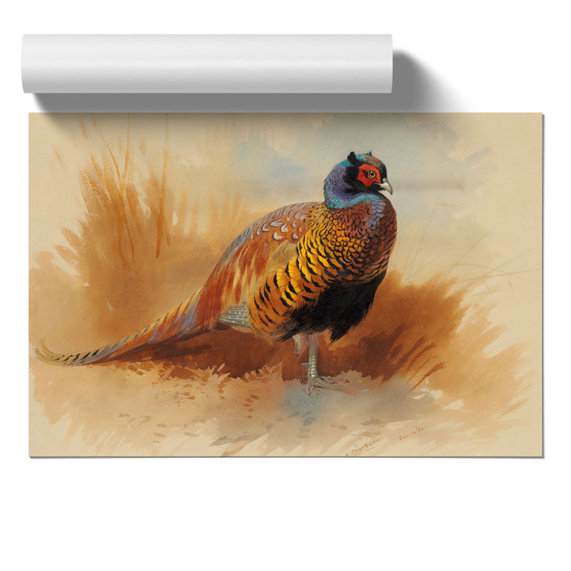 Study of a Cock by Archibald Thorburn - Frameless Print, 21cm H x 30cm W x 0.1cm D