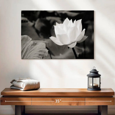 Harnek Pristine White Lotus