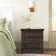 Chronister 28'' W Nightstand
