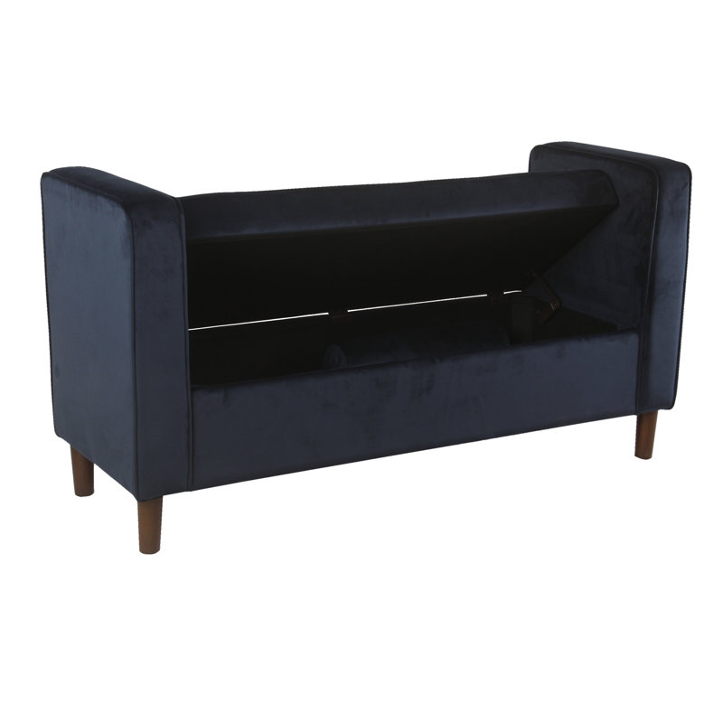 Banc de rangement rembourré Wittrock, Velours foncé