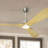52''  Natual Wood Colour 3-Blade Ceiling Fan with LED Lights with Remote App Control Silver  Fan Body-88202010-88202008