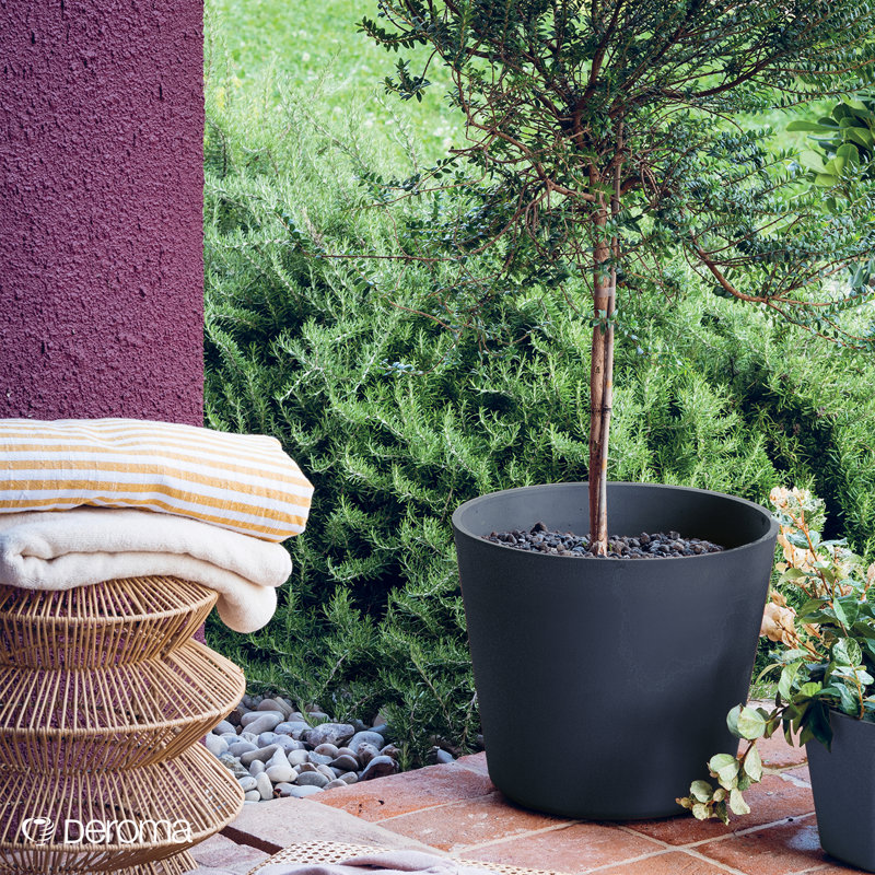 Deroma Origin 6" Round Planter | Set Of 3 | Light, Shock Resistant & Durable Plastic | Indoor/outdoor Pot For Patio | Water Reserve & Drain Plug | Trendy Planter For Plants, Flowers, Garden
