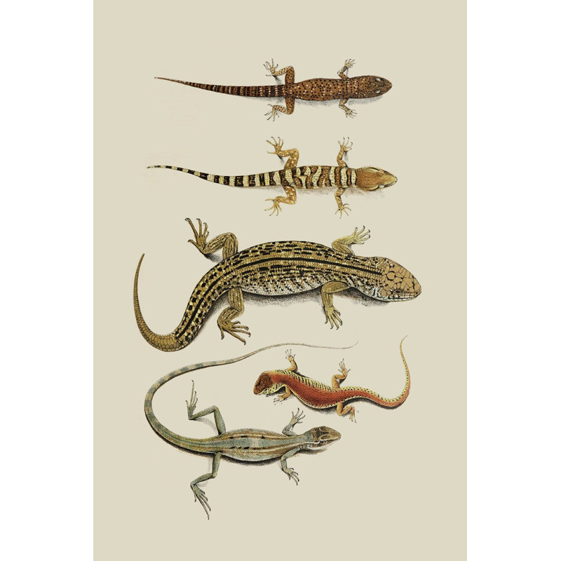 " Antique Lizards III ", 18" H x 12" W