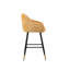 Zurich Mustard Bar Stool-9320479