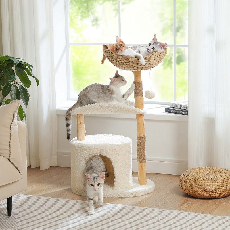 Tour à chat moderne avec panier en osier spacieux, poteaux à griffer en bois massif naturel et lit courbé pour chats