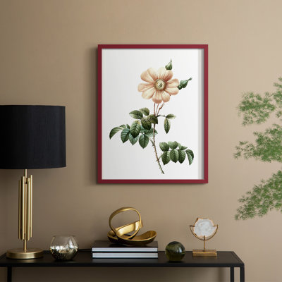 «Botanical Beauty II», reproduction encadrée - bois massif