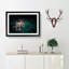 Two Lions in the Shadows - Picture Frame Painting Print-55605914-55605909