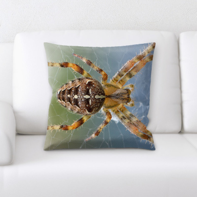 Coussin de spider