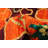 Opulence Orange Rug 5'0" x 7'0"