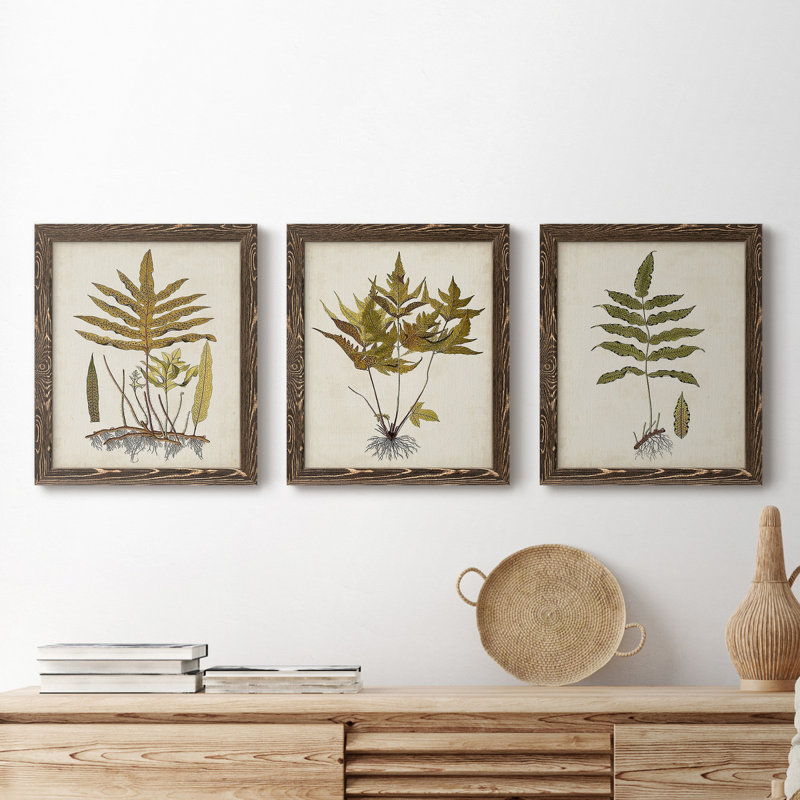 Fern Botanical I - Ensemble de 3 peintures sur toiles encadrées, Noyer, H 20 po x l 51 po x P 1,5 po