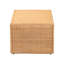 Table basse (table basse incluse seulement)
