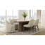 Ensemble de 2 chaises rembourrées Ivory Shelter