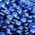 Bleu foncé