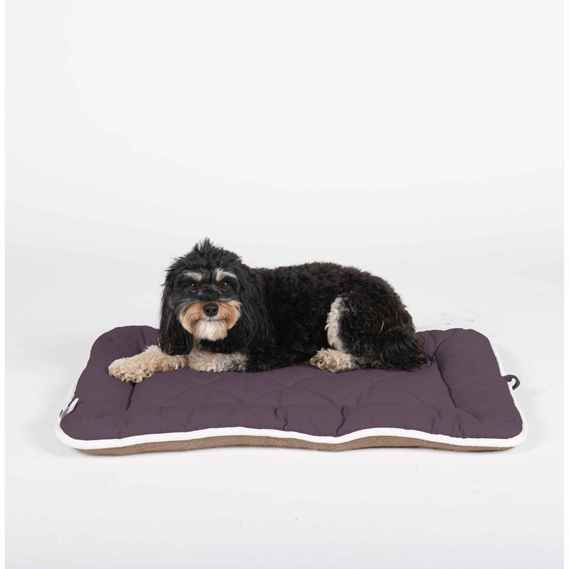 Coussin en toile de coton DGS Pet Products, Galet, Petit (l 24 po x P 15 po x H 1 po)