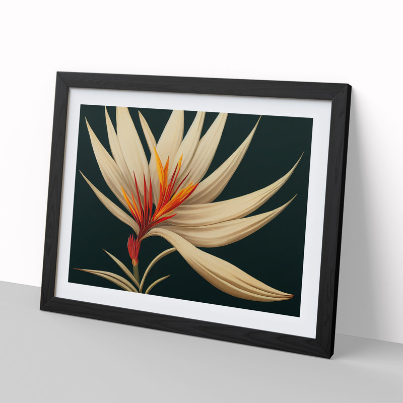 XH1022-8893X The Bird Of Paradise Flower Vol.4 1 Piece Single Picture Frame Wall Art, 25cm H x 34cm W x 2cm D, Black Framed