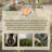 DeWitt Pro 5 5oz Commercial Landscape Weed Barrier Ground Fabric-105374091