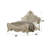 Anastazia Button Tufted Standard Bed-33199036-33199039