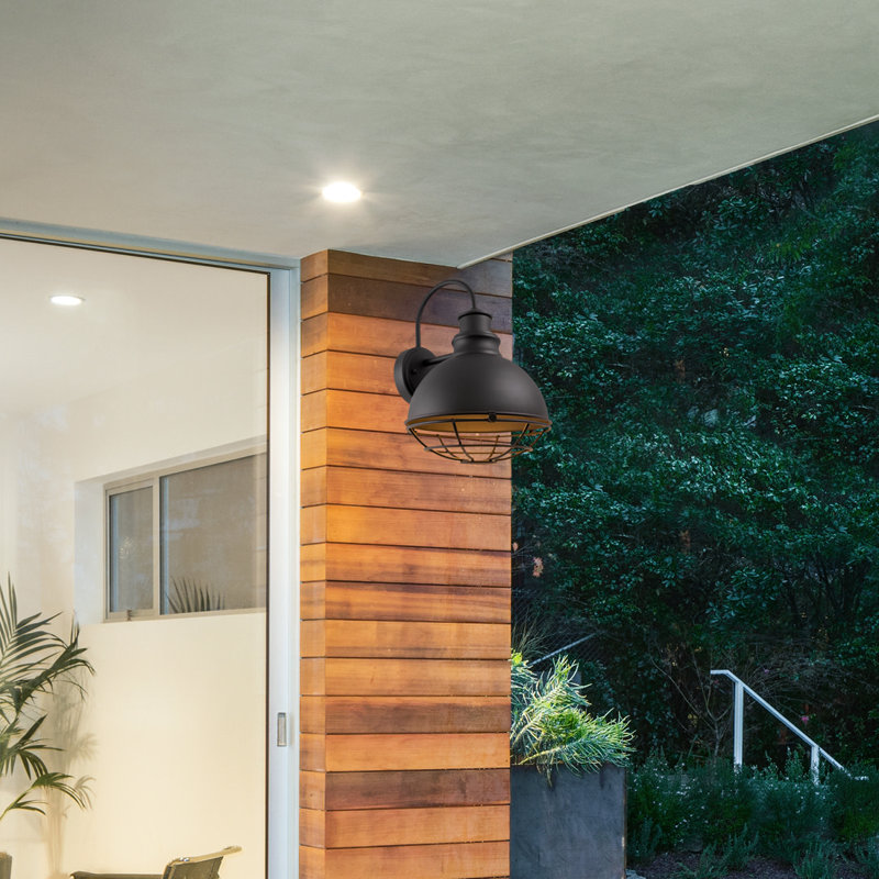 Heidenreich Wall Light