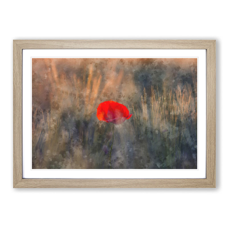 Red Poppy Flower - Framed Print, Oak Framed, 62cm H x 87cm W x 2cm D