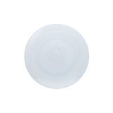 Jupiter Clear Dinner Plate 10.5"