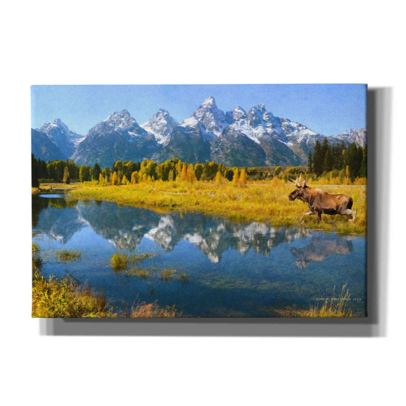 «Grand Teton Reflections Moose» par Chris Vest, art mural sur toile, H 18 po x l 26 po x P 0,75 po