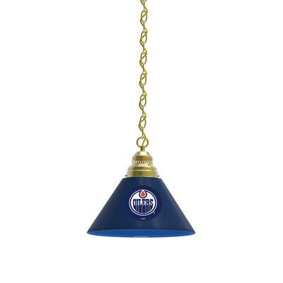 1 - Light Single Pendant