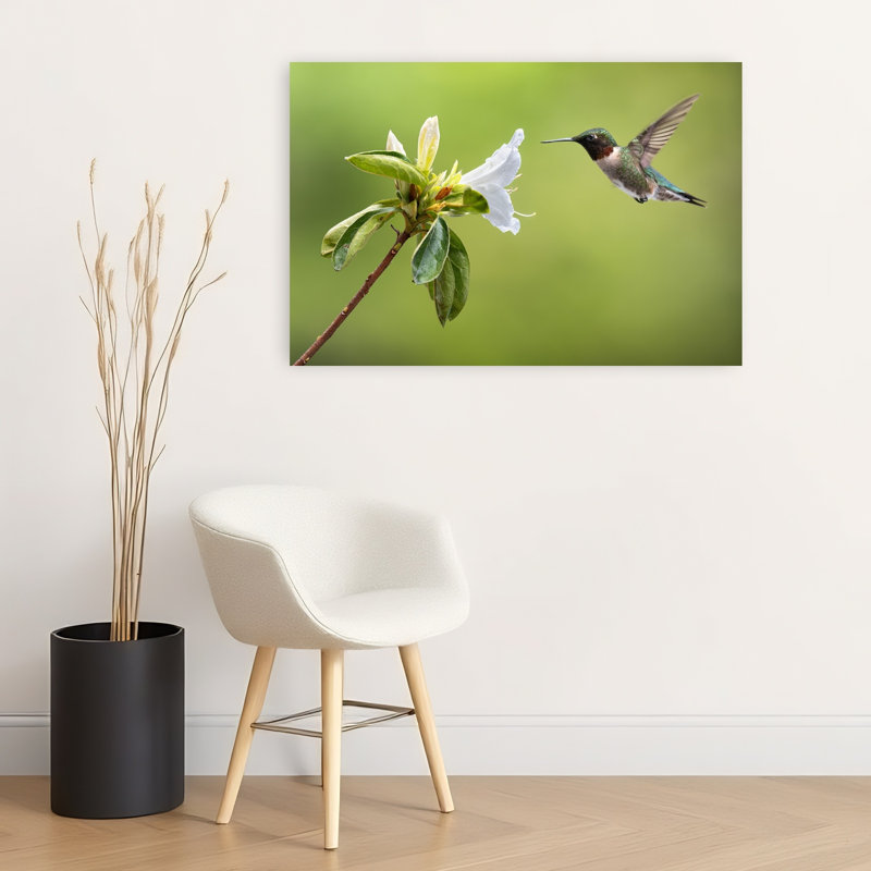 Delicate Hummingbird Hover Delicate Vibrant Hummingbird Bird Flower Nature Wall Art Print by Atul Saluja - Print