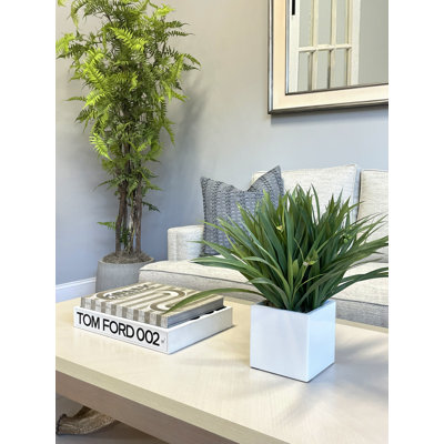 Fausse herbe Weatherhill en pot de fibres
