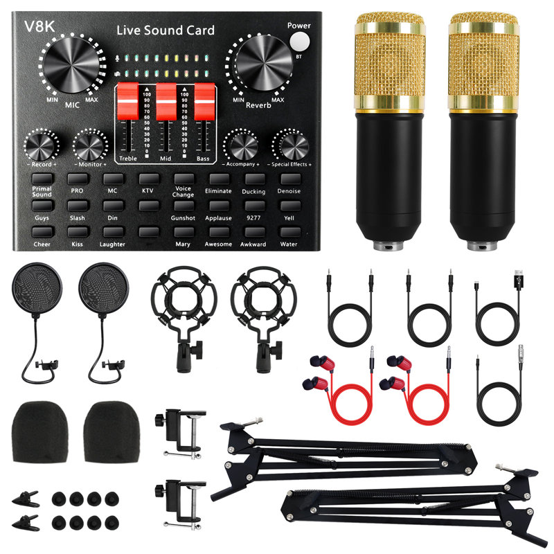 Ensemble de matériel de balado pour 2 personnes, ensemble de studio d'enregistrement avec deux micros BM800 et changeur de voix pour PC / mobile, diffusion en direct, chant, jeu, changeur de voix