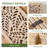 67'' H Solid Wood Room Divider - Floral Serenity Folding Screen with Leaf Cutout Design-44958761-44958765