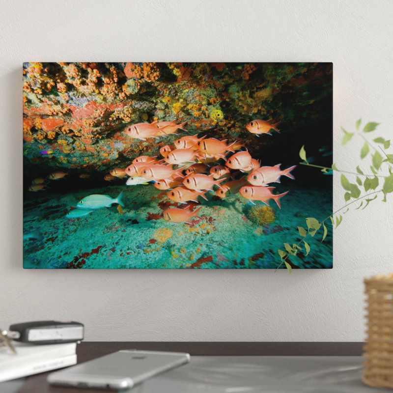 Reproduction de photo sur toile, «Schooling Soldierfish», H 18 po x l 26 po x P 1,5 po, Pas de tapis, Toile tendue