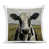 Vache verte n'est pas disponible