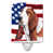 Basset hound brun foncé