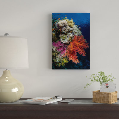 «Reef Scene in the Red Sea», reproduction de photo sur toile