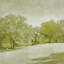 Reproduction d’art sur toile tendue « beryl landscape ii » par marmont hill-21850281