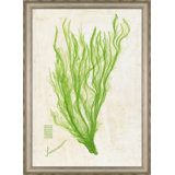 Green Sea Lettuce II Painting