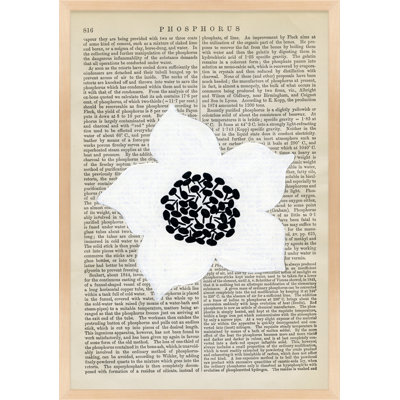 Phosphorus Print by Michela Sorrentino