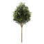 48" Artificial Olive Branch Stems