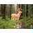 47'' H Metal Animals Weathervane-12272476
