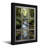 Landscape & Nature Forest Stream Through Window Frame-1080983042-1080983041-1080983046
