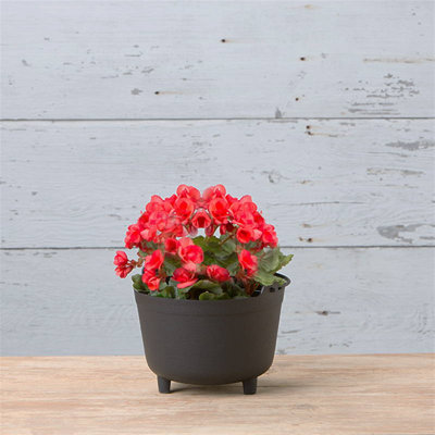 Novelty Indoor/Outdoor Antique-Inspired Kettle Plastic Round Planter with Handle