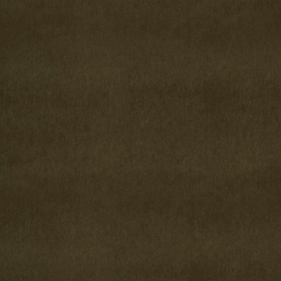 Velvet Encyclopedia II Fabric
