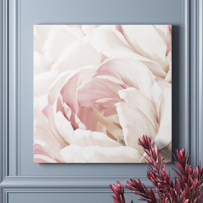 Wallach " Intimate Blush Il "