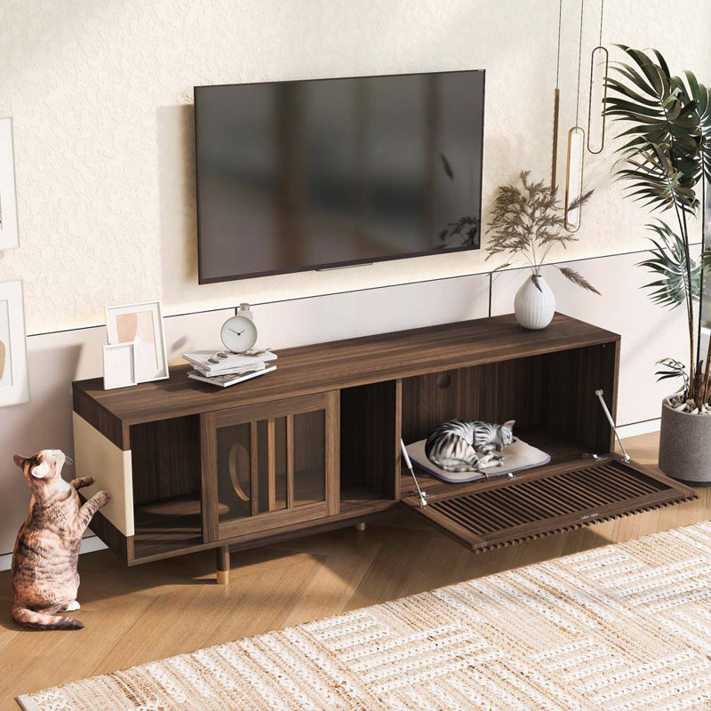 TV Stand with Storage