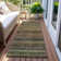 Machine Washable Indoor/Outdoor Claudian ACN1639 Brown Rug