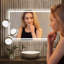 Naliyah LED Bathroom Mirror, Dimmable Vanity Mirror Anti-Fog Wall Mounted With Lights-1298681947