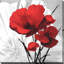 Big Red Poppies II - impression sur toile tendue-31590860