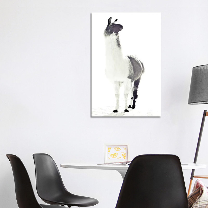 Fluffy Llama Monika Strigel Animals by Monika Strigel - Wrapped Canvas Print, 101.6 cm H x 66.04 cm W x 3.175 cm D