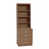 English Oak