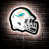 Miami Dolphins